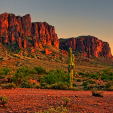 arizona
