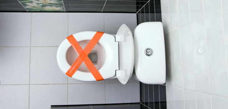 flush down the toilet