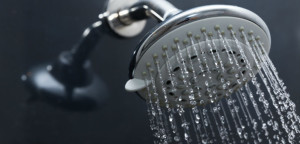 shower head