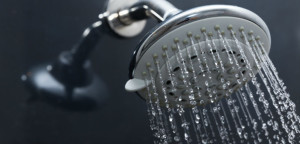 shower head