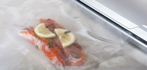 vacuum sealer