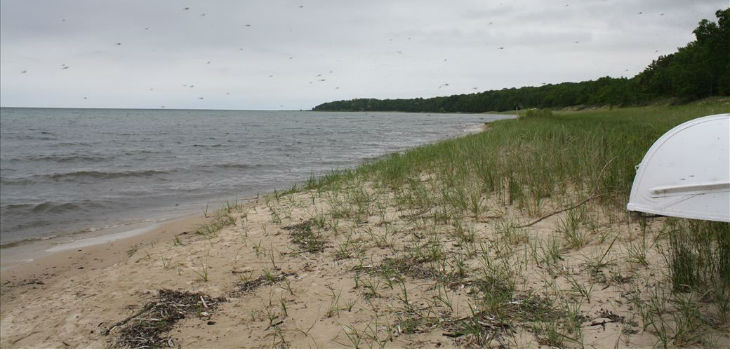 fisherman's point island