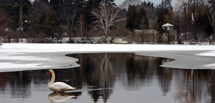 michigan_bloomfieldhills_730x350