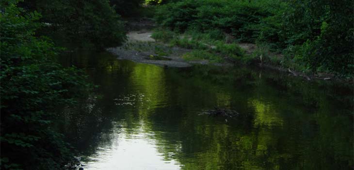 nj_saddle_river730x350